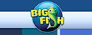 ���~�Α�Big Fish Games��