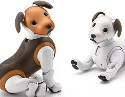 索狗是什么梗,索狗是什么意思