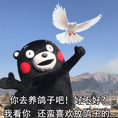 ��������ʲô��,��������ʲô��˼