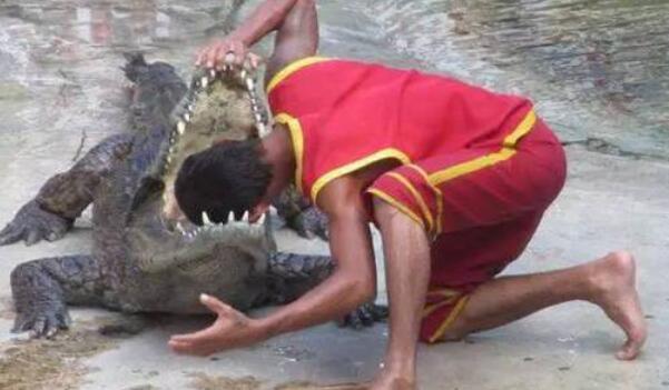 �������Ͳ���(hu��)����ʲô��˼