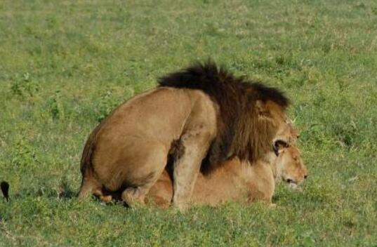 ������ʲô��˼,���ݵ���˼