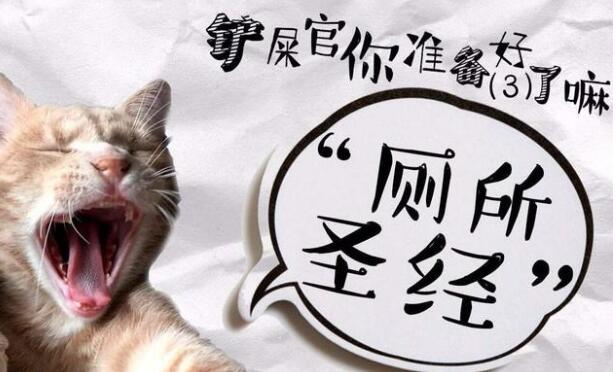 �Pʺ����ʲô��˼,�Pʺ�ٵ���˼