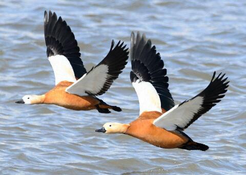 �p�w��ʲô��,�p�w��ʲô��˼