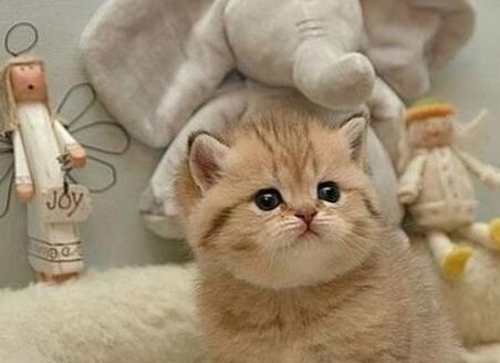 �u����ʲô��˼,�u�ȵ���˼,�u����ʲô��