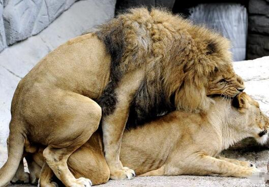 doi��ʲô��,doi��ʲô��˼