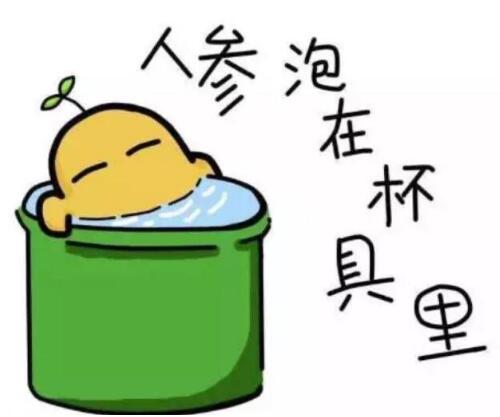 ������ʲô��,������ʲô��˼