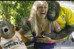 ������ʲô��˼,�������˼