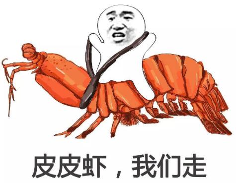 皮皮蝦我們走是什么梗