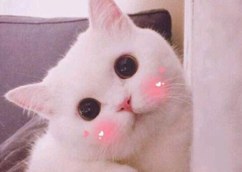 ������ʲô��,������ʲô��˼