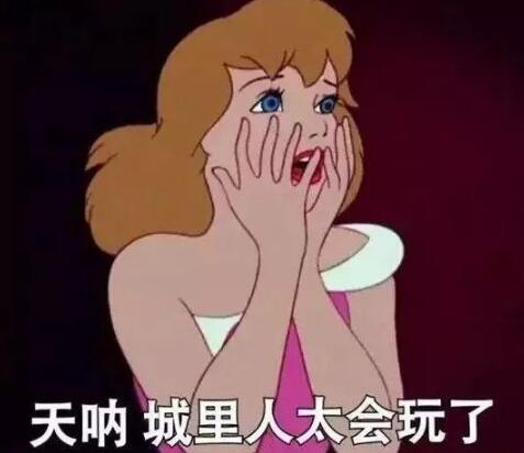 城里人真會玩是什么意思