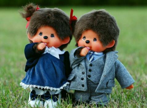 ��������ʲô��˼,���������˼