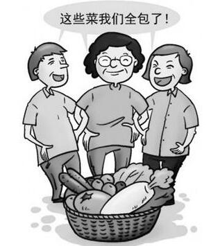 海豚族是什么意思,海豚族的意思