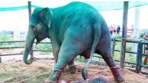 ������ж��L�r�g��С��