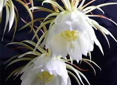 �һ�һ�F(xi��n)�ĬF(xi��n)��ʲô�r��(�һ�һ�F(xi��n)�ĬF(xi��n)ָ����ʲô�r�g)