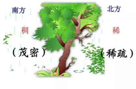 �������ʲô��e����������e��λ�ķ�����