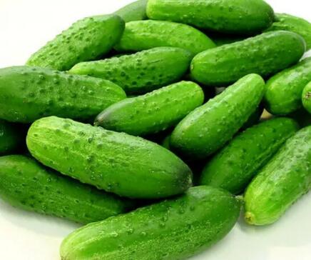 ��Ͽ������Ԇᣨ�����ʲô��