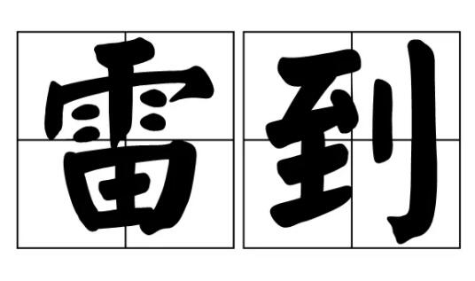 雷到是什么意思,雷到的意思