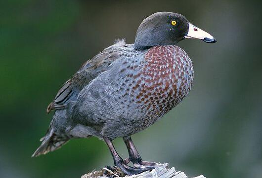 ɽ�{(l��n)��,ɽ�{(l��n)����B,ɽ�{(l��n)���DƬ