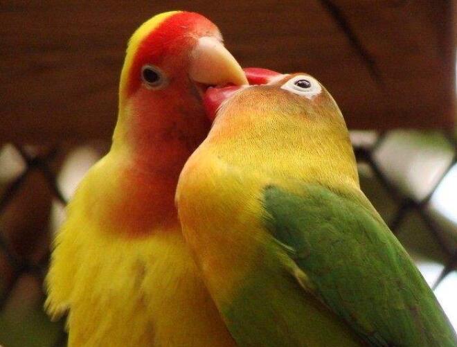 �Mɳ����H�W�^