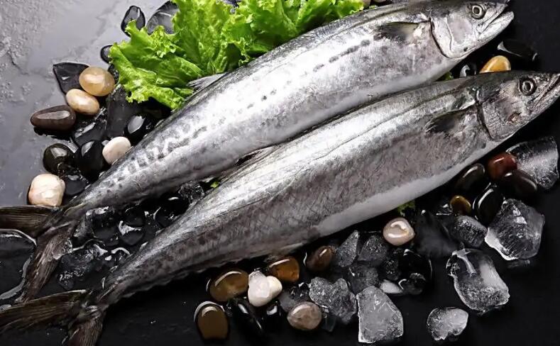 ����R�o�~