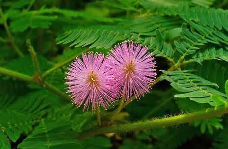 ����݈DƬ,����ݽ�B,�����