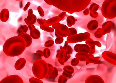 ����Ѫ,����Ѫ��ʲôѪ��