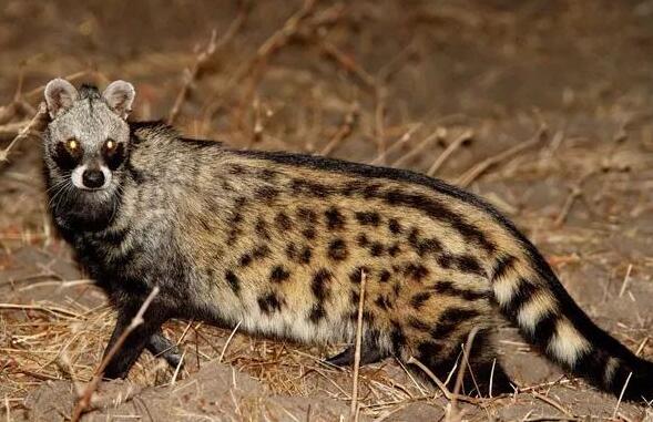 �`؈��(ji��n)��-�`؈�DƬ