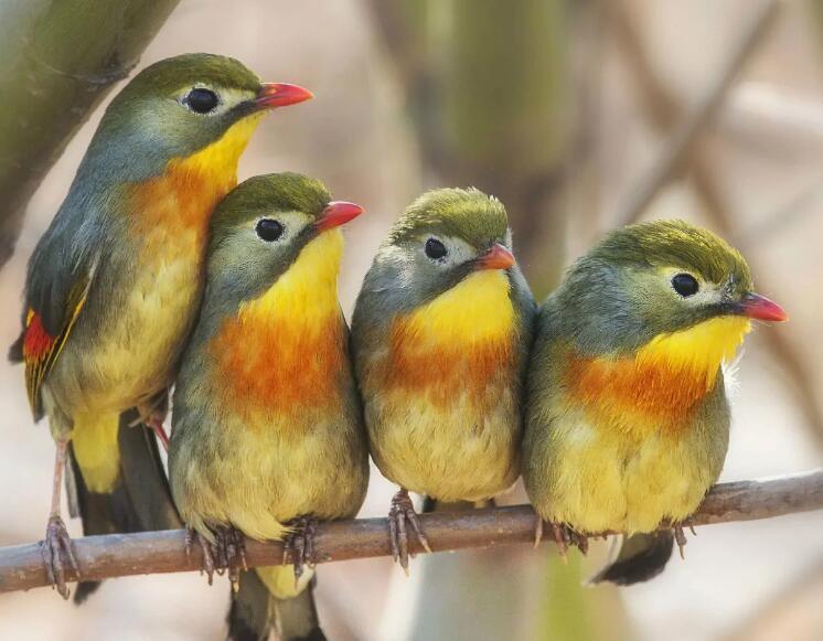 ��˼�B�DƬ-��˼�B��(ji��n)��