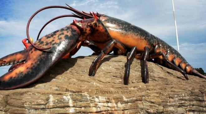 �������������r,�������r����˹����o(j��)�