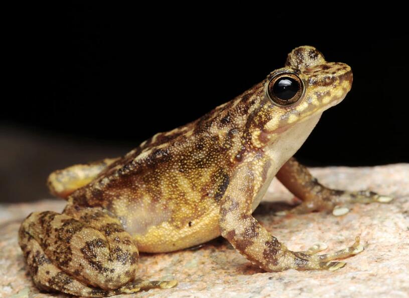 �A������