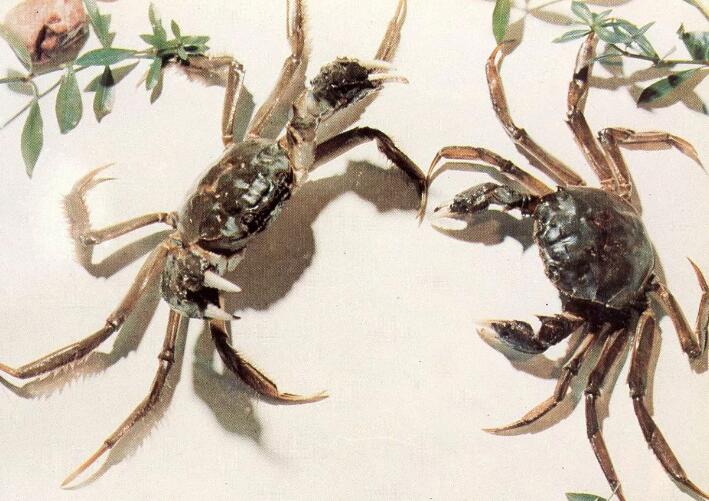 �f(w��n)з�Ǵ��lз