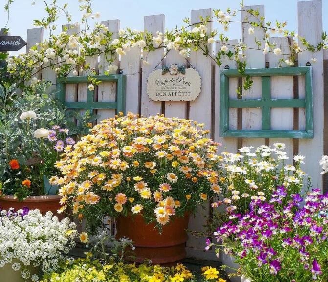 СС���@���~,СС���@��B,СС���@